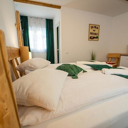 Sura Lu' Patru Appartement Vulcan  Buitenkant foto